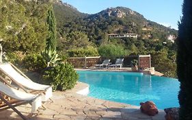 U Paradisu B&b
